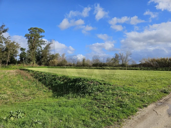 Terreno para Venda em São João do Campo Foto 2