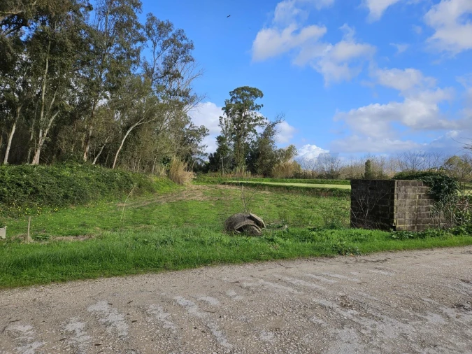 Terreno para Venda em São João do Campo Foto 5