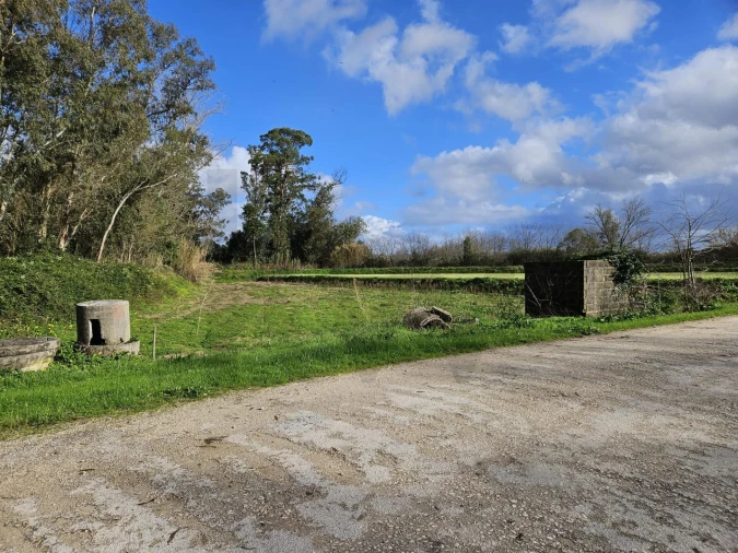 Terreno para Venda em São João do Campo Foto 8