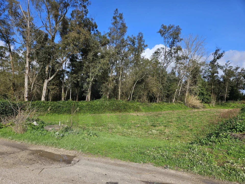 Terreno para Venda em São João do Campo Foto 7