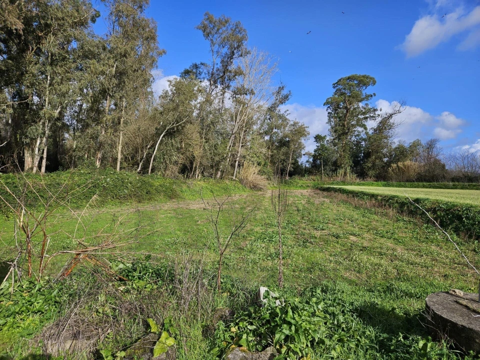 Terreno para Venda em São João do Campo Foto 3