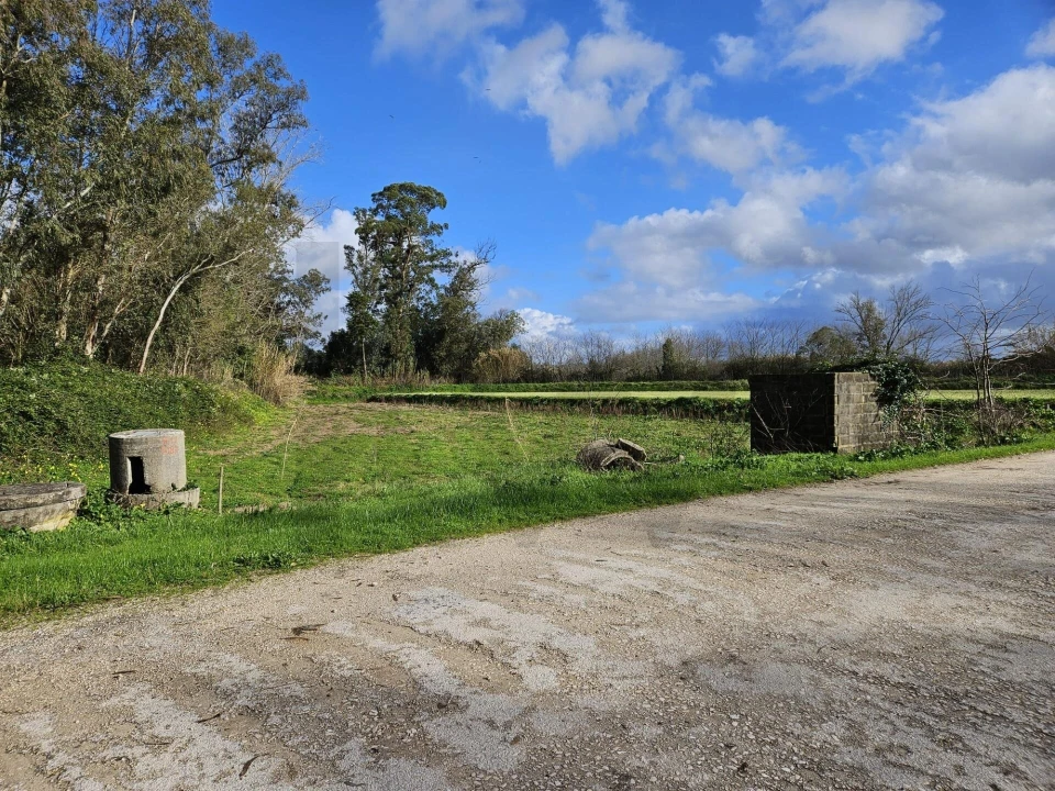Terreno para Venda em São João do Campo Foto 8
