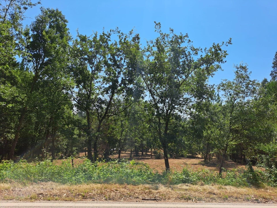 Terreno para Venda em Ega Foto 1