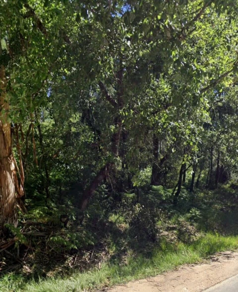 Terreno para Venda em Ega