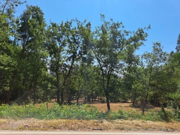 Terreno para Venda em Ega