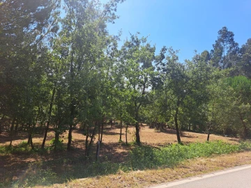 Terreno para Venda em Ega