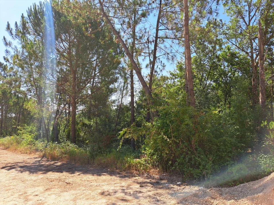 Terreno para Venda em Ega Foto 6