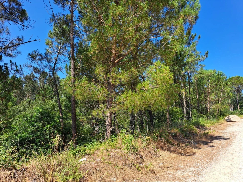 Terreno para Venda em Ega Foto 8