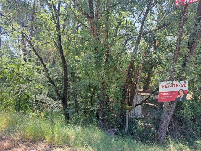 Terreno para Venda em Ega Foto 9