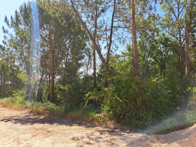 Terreno para Venda em Ega Foto 7