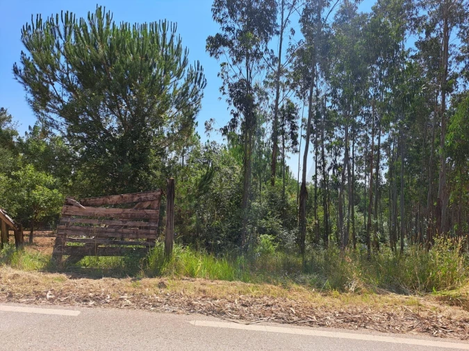Terreno para Venda em Ega Foto 2
