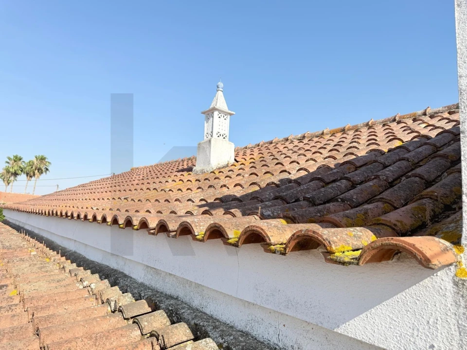 Quinta T3 para Venda em Ferreira do Alentejo e Canhestros Foto 16