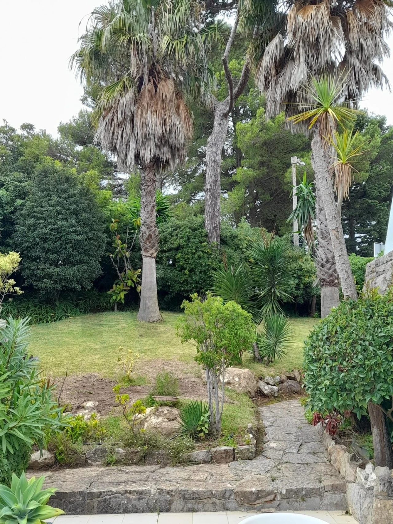 Moradia T5 para Venda em Cascais e Estoril Foto 53