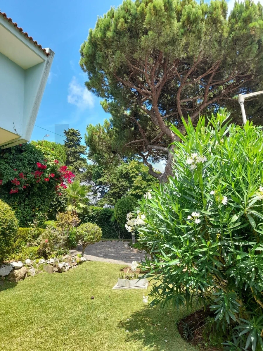 Moradia T5 para Venda em Cascais e Estoril Foto 50