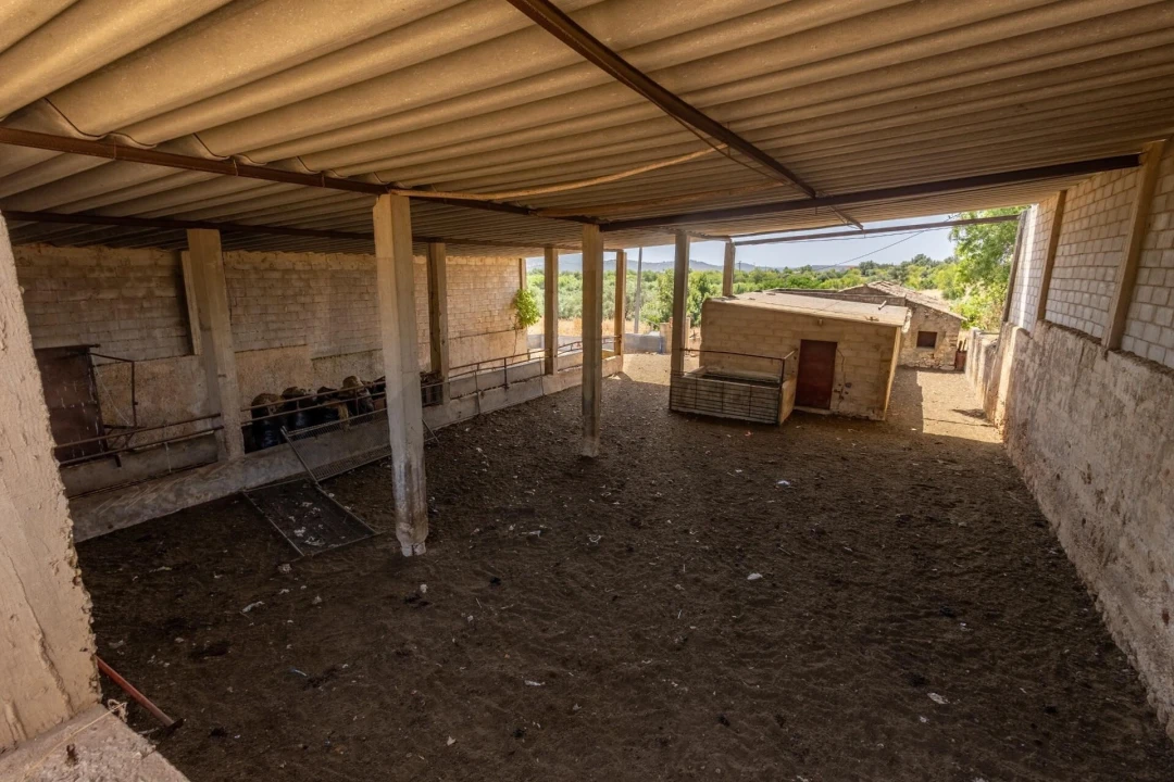 Moradia T2 para Venda em Loule (São Clemente) Foto 30