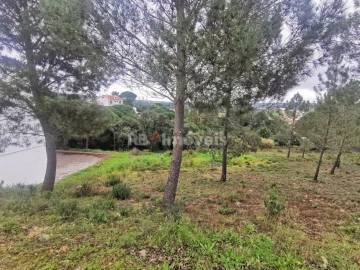Terreno para Venda em Constancia