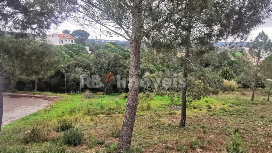 Terreno para Venda em Constancia