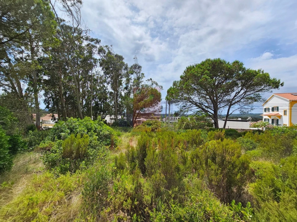 Terreno para Venda em Nadadouro Foto 10