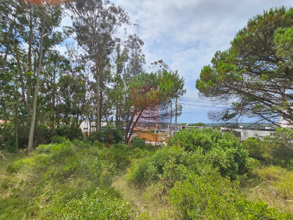 Terreno para Venda em Nadadouro Foto 11