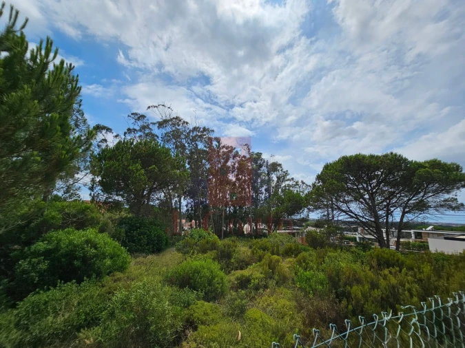 Terreno para Venda em Nadadouro Foto 12