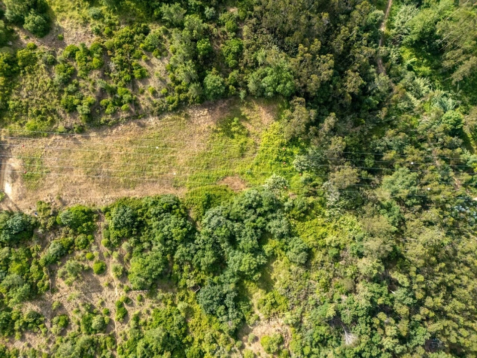 Terreno para Venda em Ericeira Foto 4