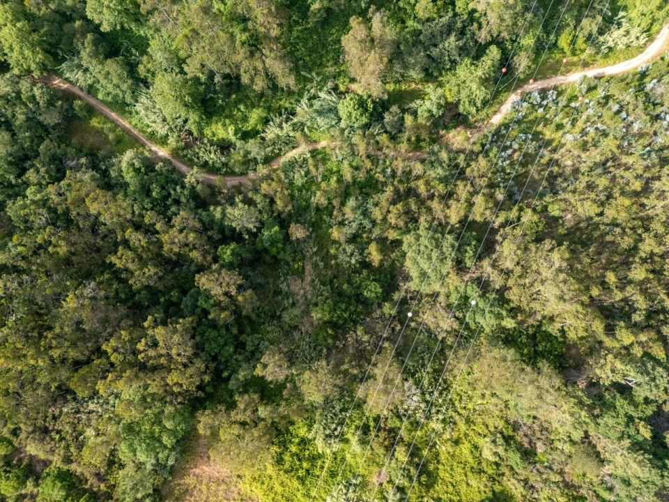 Terreno para Venda em Ericeira Foto 6