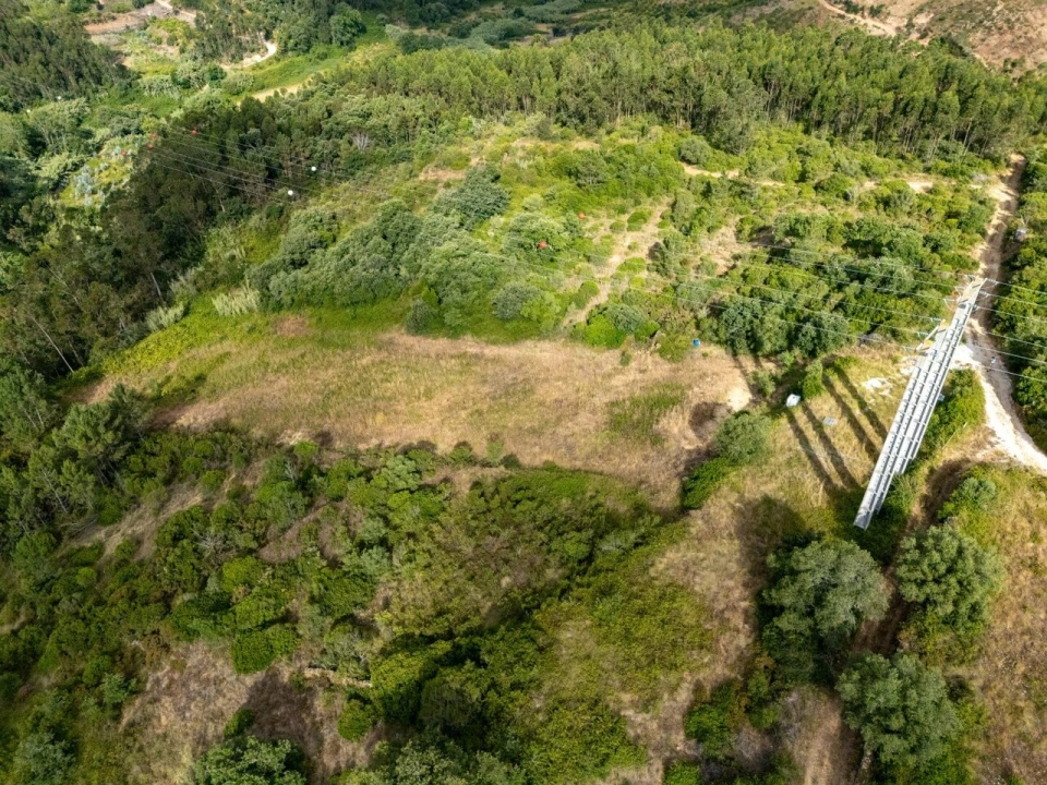 Terreno para Venda em Ericeira Foto 9