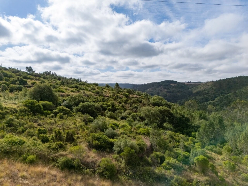 Terreno para Venda em Ericeira Foto 13