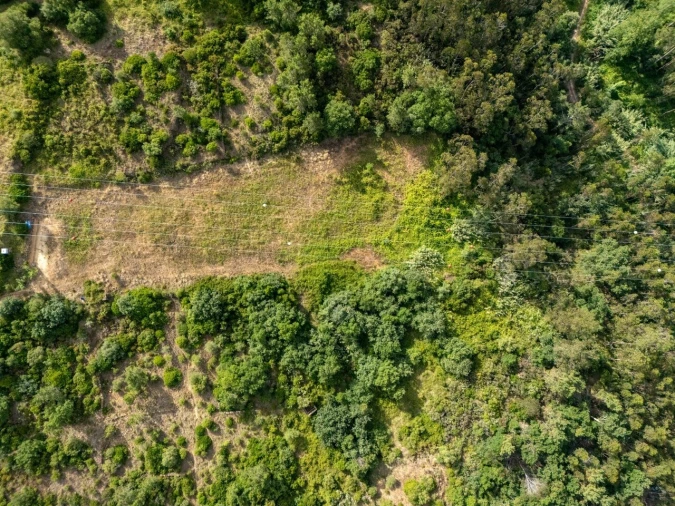 Terreno para Venda em Ericeira Foto 3
