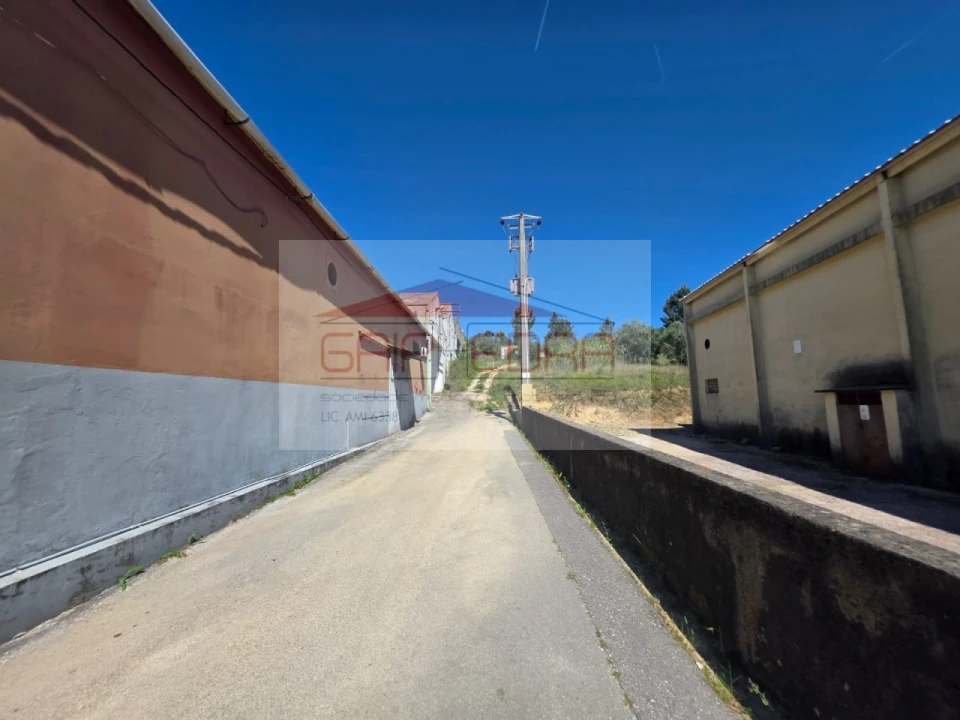 Terreno para Venda em Assafarge e Antanhol Foto 5
