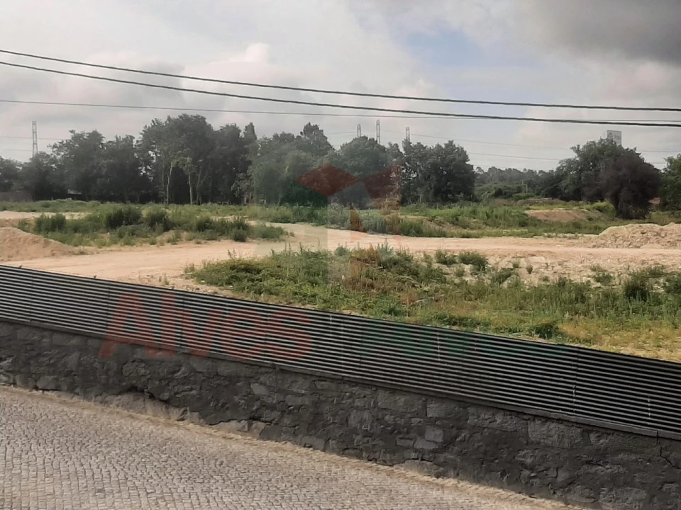 Terreno para Venda em Nogueira e Silva Escura Foto 1