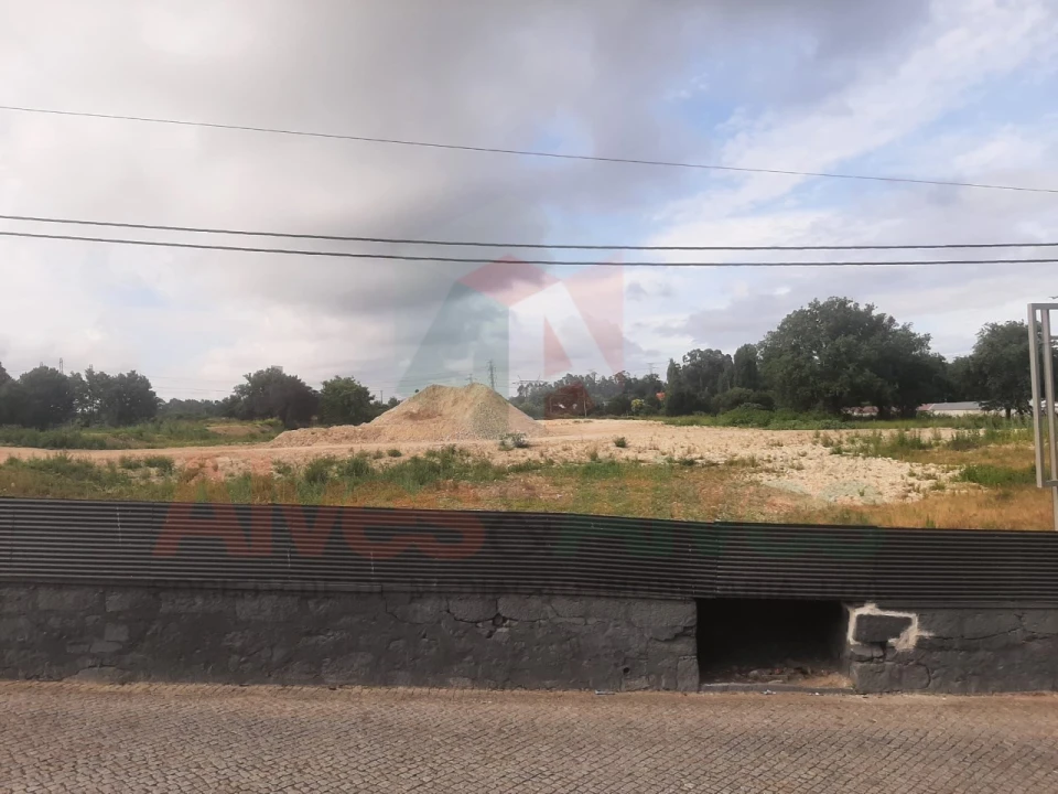 Terreno para Venda em Nogueira e Silva Escura Foto 4