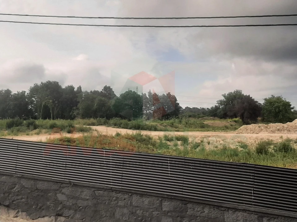 Terreno para Venda em Nogueira e Silva Escura Foto 6