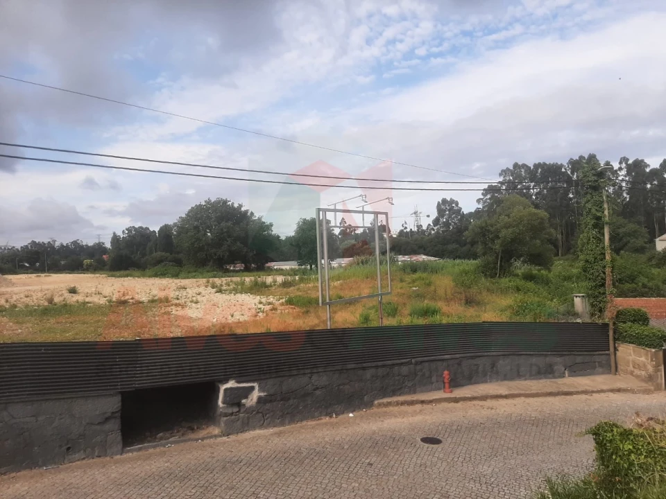 Terreno para Venda em Nogueira e Silva Escura Foto 7