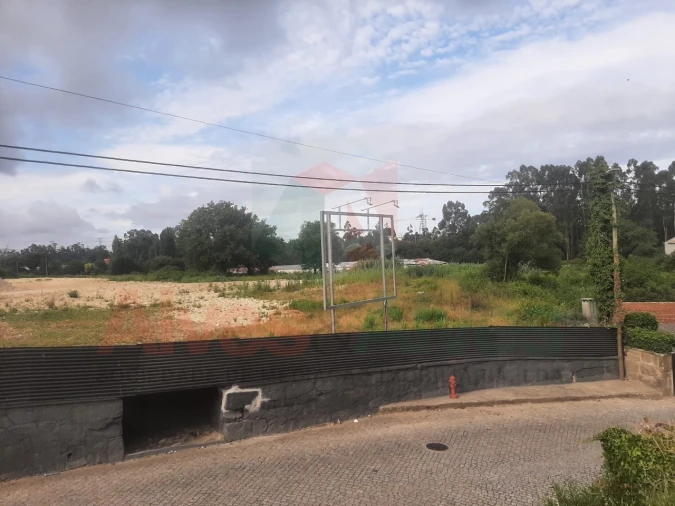 Terreno para Venda em Nogueira e Silva Escura Foto 7