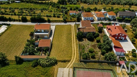 Terreno para Venda em Alfarelos