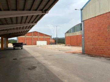 Armazém para Venda em Côja e Barril de Alva