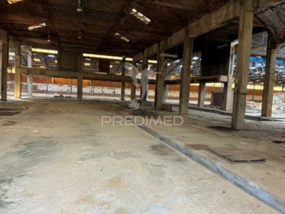Armazém para Venda em Côja e Barril de Alva Foto 8