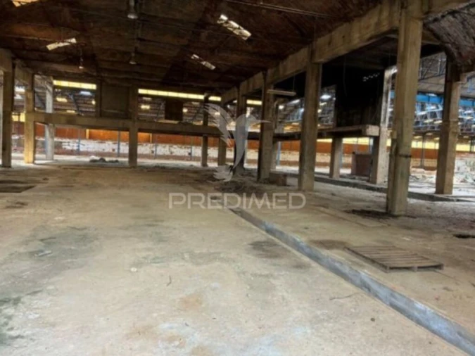 Armazém para Venda em Côja e Barril de Alva Foto 8