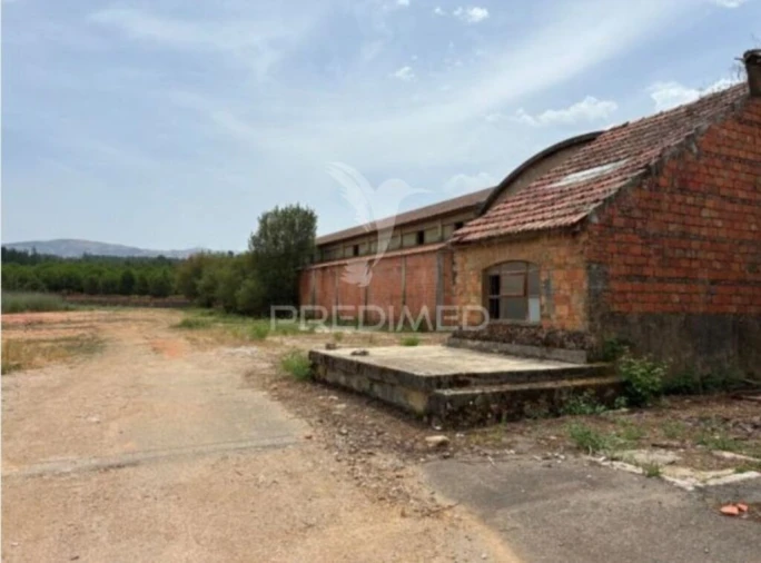Armazém para Venda em Côja e Barril de Alva Foto 11