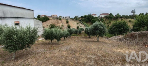 Terreno para Venda em Graça