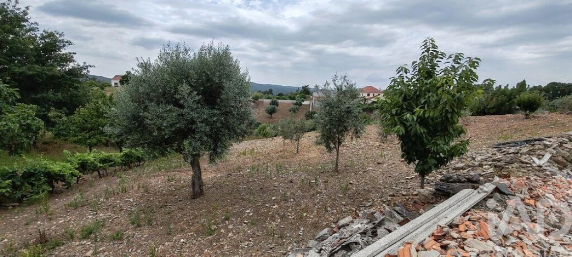 Terreno para Venda em Graça Foto 16