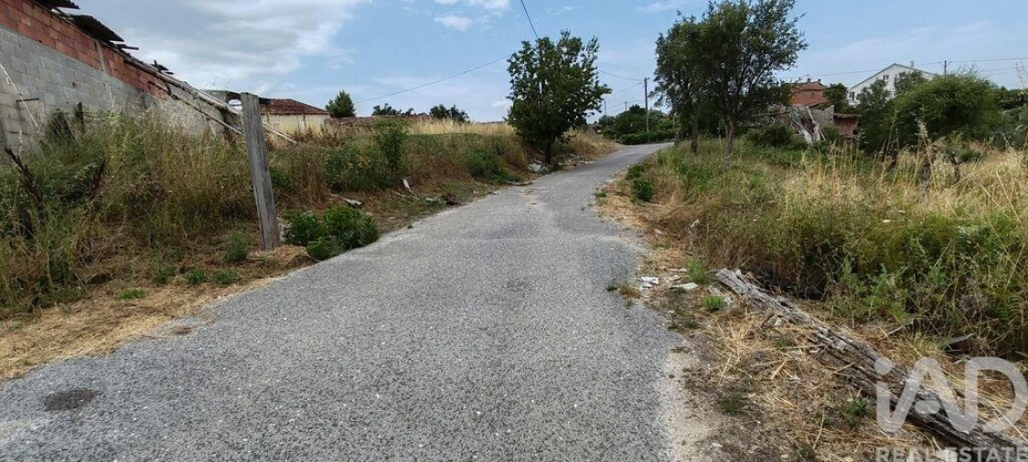 Terreno para Venda em Graça Foto 19