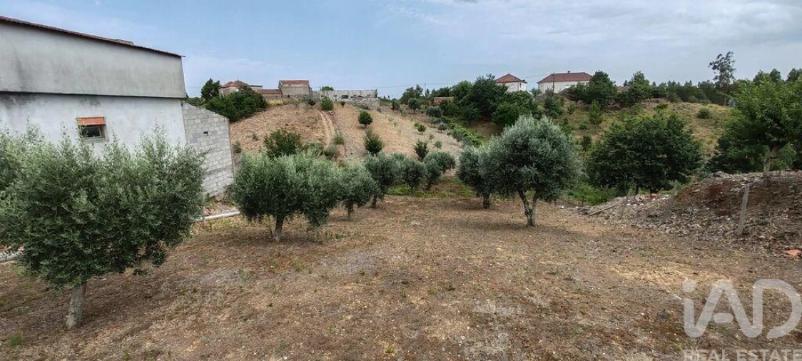 Terreno para Venda em Graça Foto 12