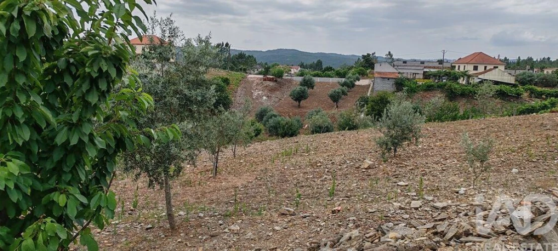Terreno para Venda em Graça Foto 13