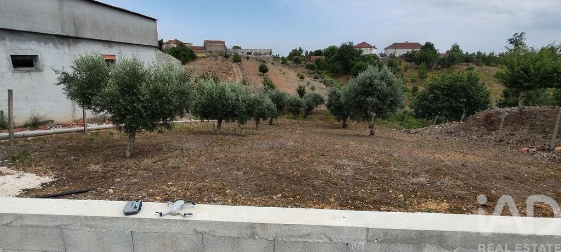Terreno para Venda em Graça Foto 10