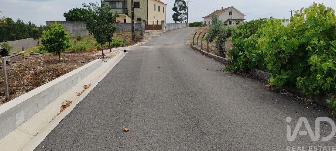Terreno para Venda em Graça Foto 8