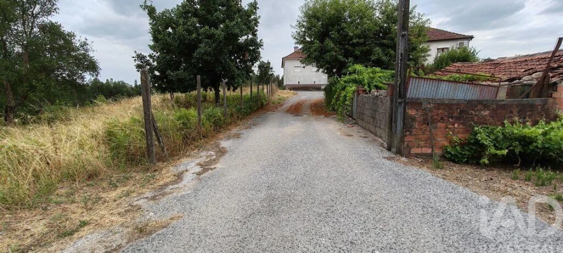 Terreno para Venda em Graça Foto 18