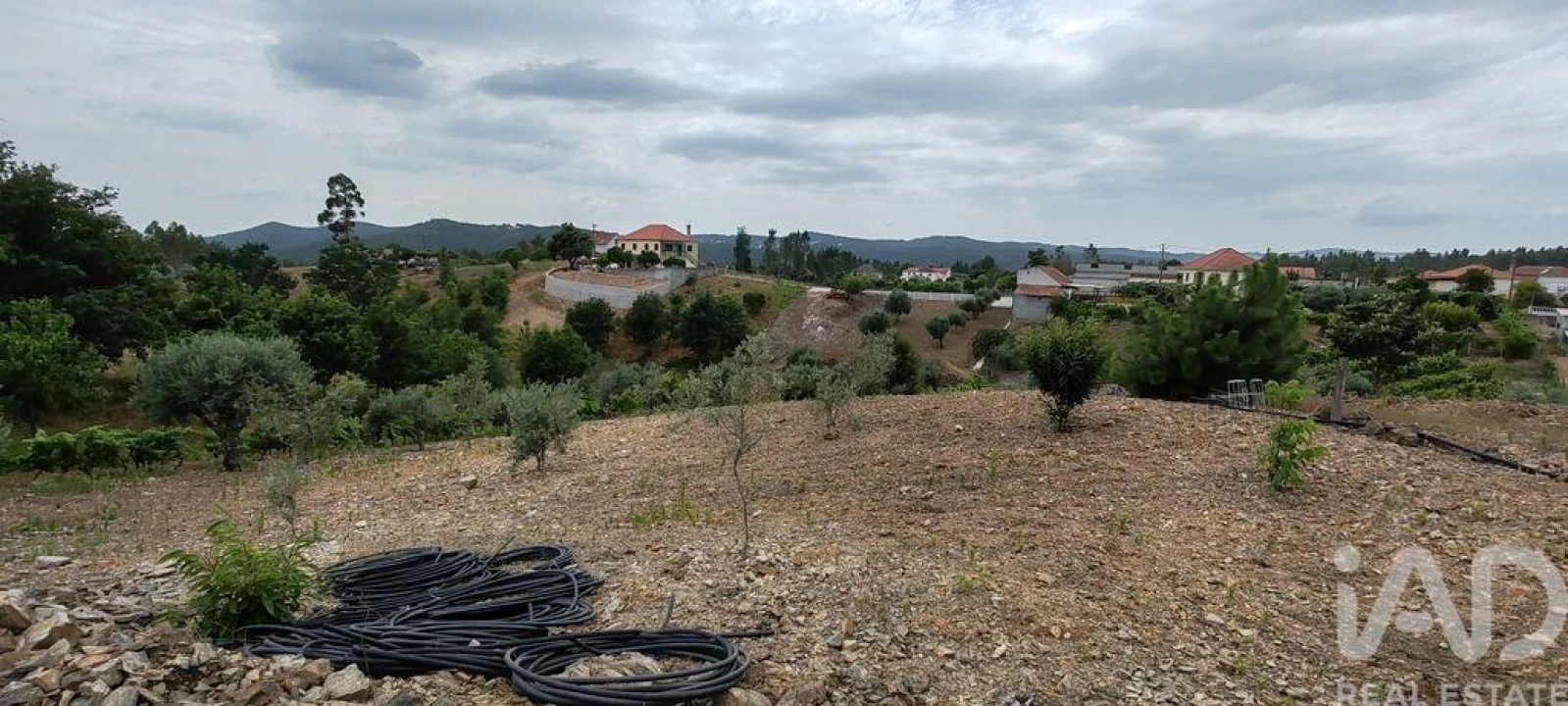 Terreno para Venda em Graça Foto 15