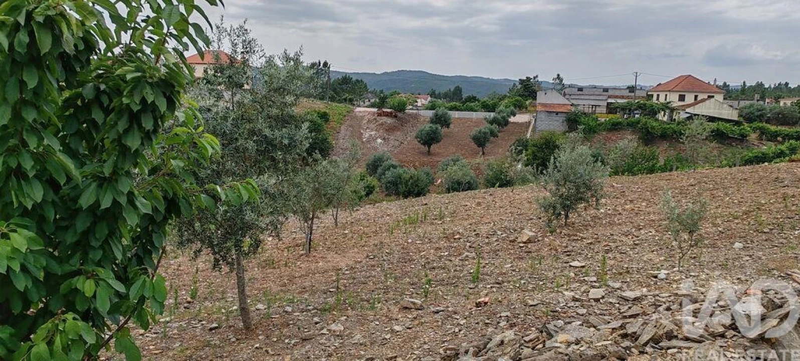 Terreno para Venda em Graça Foto 13